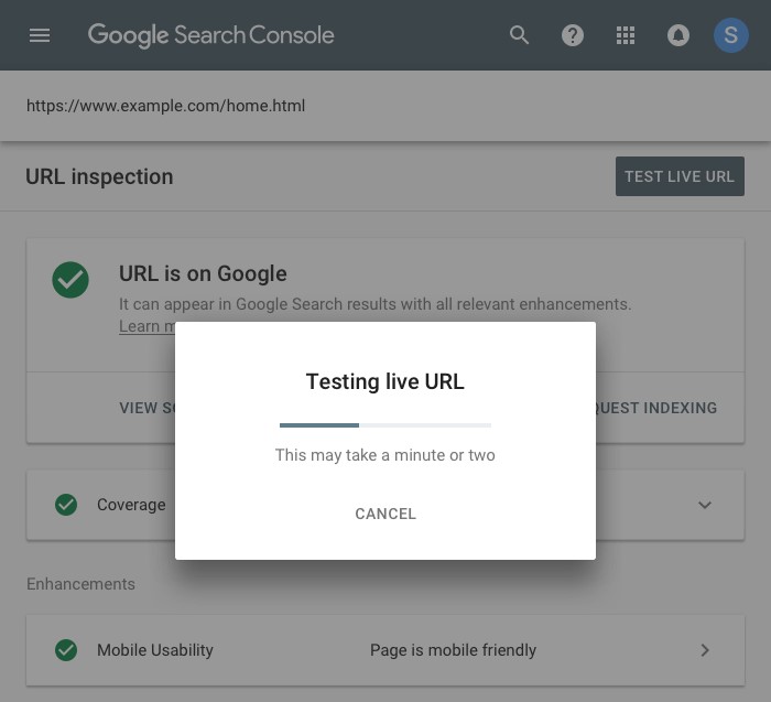Test Live Search Console