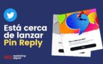 Pin Reply