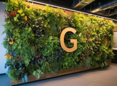 Solucionar problemas en Google My Business