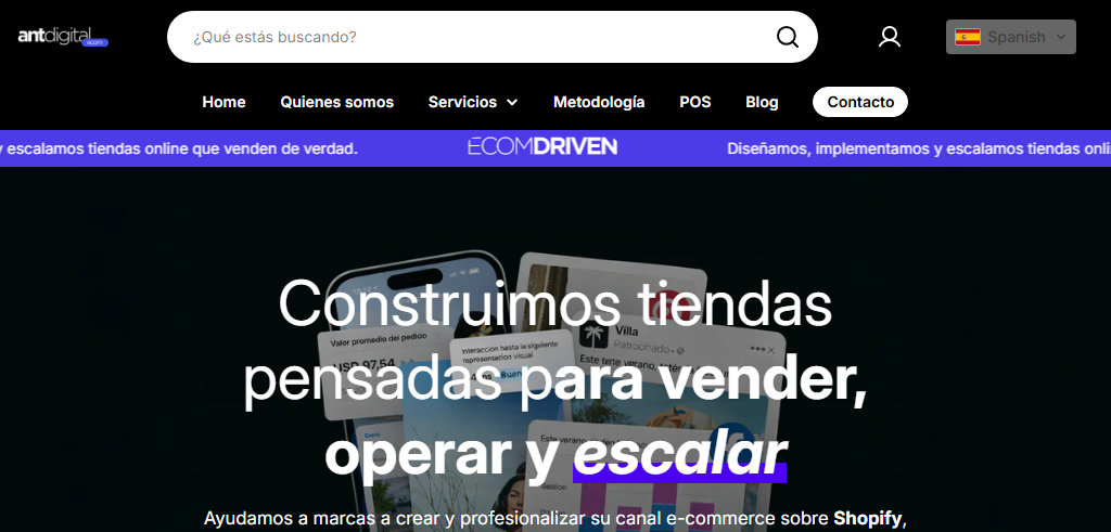 Sitio Web de la Agencia ANT Digital