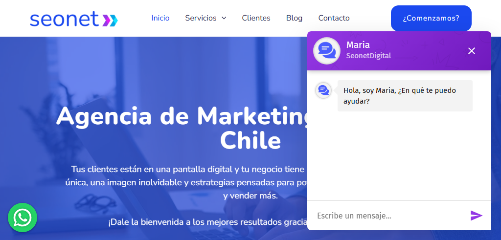 Sitio Web de la Agencia SEOnet Digital