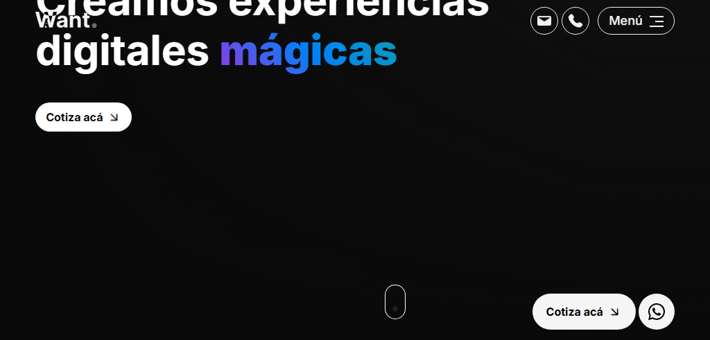 Sitio Web de la Agencia Want Digital